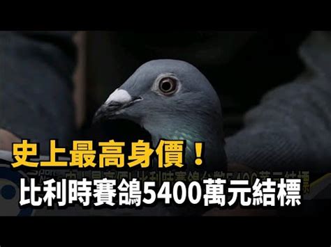 鳥是代表幾號|夢見各種夢所代表的樂透數字（動物篇），周公解夢大全查詢